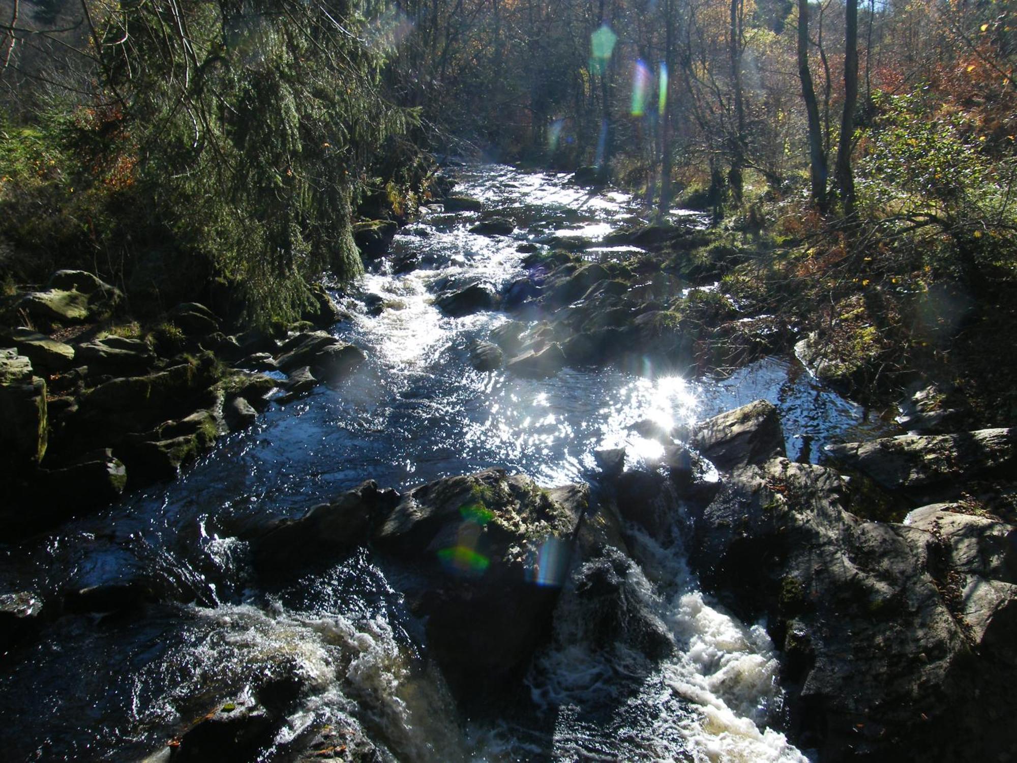 Apartment Am Fluss Im Haus An Der Rur Monschau Buitenkant foto